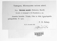 Image Associated With the Occurence